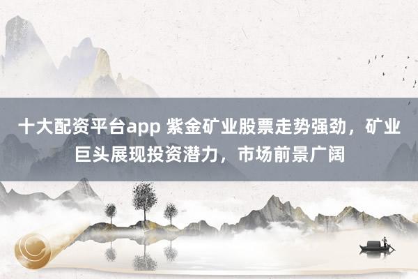 十大配資平臺app 紫金礦業(yè)股票走勢強(qiáng)勁，礦業(yè)巨頭展現(xiàn)投資潛力，市場前景廣闊
