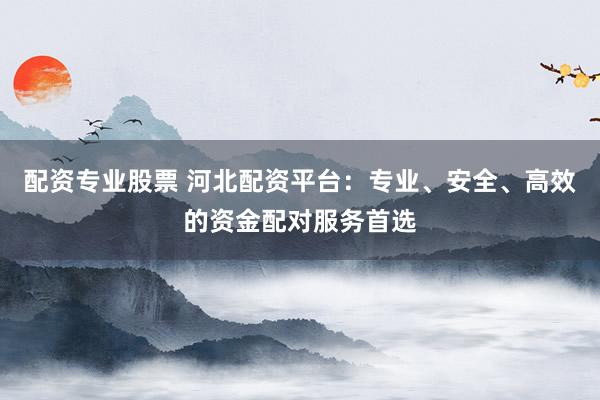 配資專業(yè)股票 河北配資平臺：專業(yè)、安全、高效的資金配對服務(wù)首選