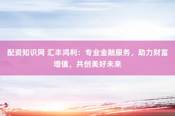 配資知識(shí)網(wǎng) 匯豐鴻利：專(zhuān)業(yè)金融服務(wù)，助力財(cái)富增值，共創(chuàng)美好未來(lái)