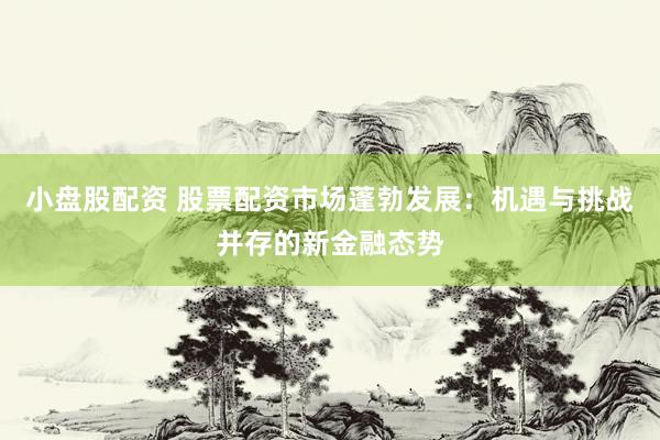 小盤股配資 股票配資市場蓬勃發(fā)展：機遇與挑戰(zhàn)并存的新金融態(tài)勢