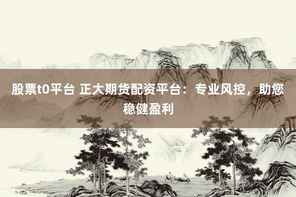 股票t0平臺 正大期貨配資平臺：專業(yè)風控，助您穩(wěn)健盈利
