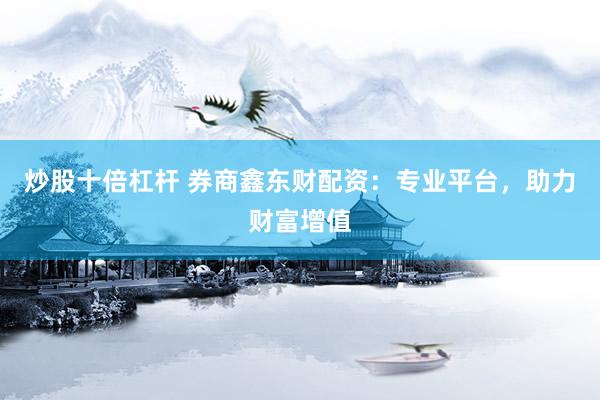 炒股十倍杠桿 券商鑫東財(cái)配資：專業(yè)平臺，助力財(cái)富增值